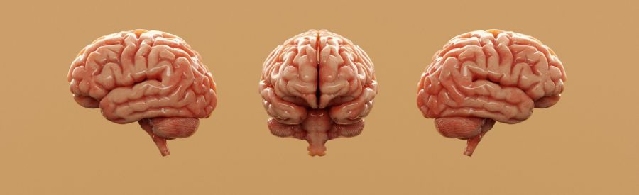 Untitled design (41)